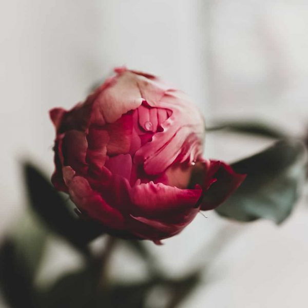 20210614174532_IMG_2456-2